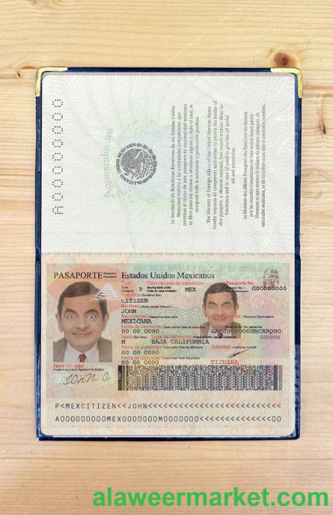 Mexico passport photo look